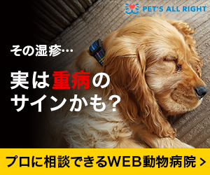 獣医師監修 そんなに臭かった 臭いを嗅いだ時のフレーメン反応とは ペットの医学